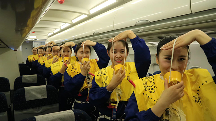 客舱初始养成训练,客舱设备理论学习；客舱安全 理论学习