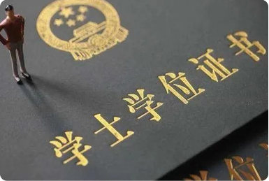 证书体系，专/本科学历、职业技能资格证书