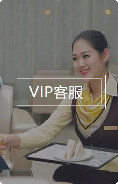 VIP客服